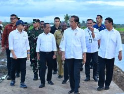 Presiden RI Tinjau Hanpangan Nasional Bersama panglima