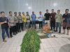 Temukan Tanaman Ganja, Polsek Tanjung Morawa Polresta Deli Serdang Amankan Pelaku